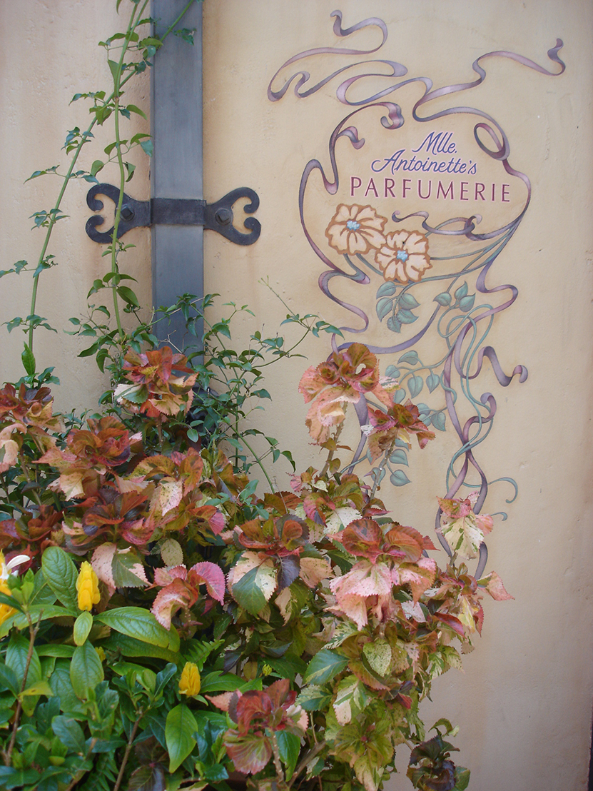 Mlle Antoinette's Parfumerie wall painting in New Orleans Square Disneyland