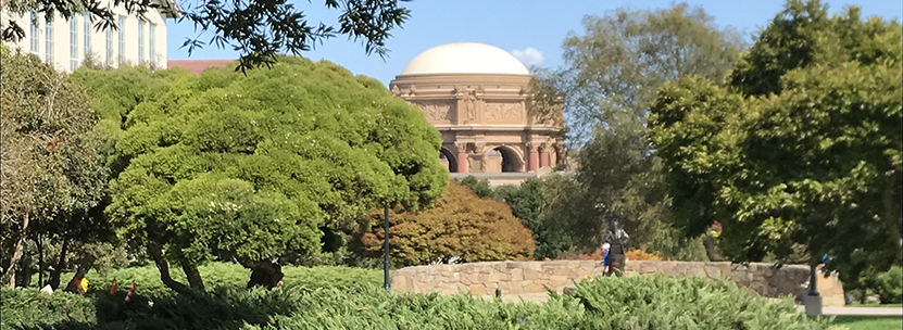 Palace of Fine Arts peeks out from in between trees in San Francisco
