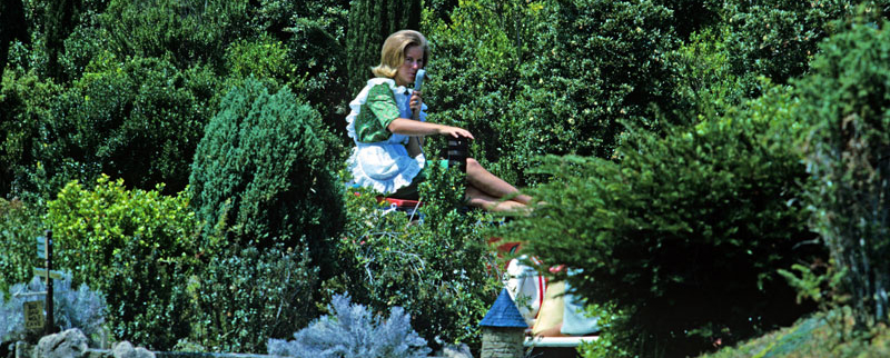 Storybook Land Canal Boats Cast Member surrounded by trees